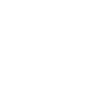 Why Choose Icon