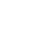 Why Choose Icon